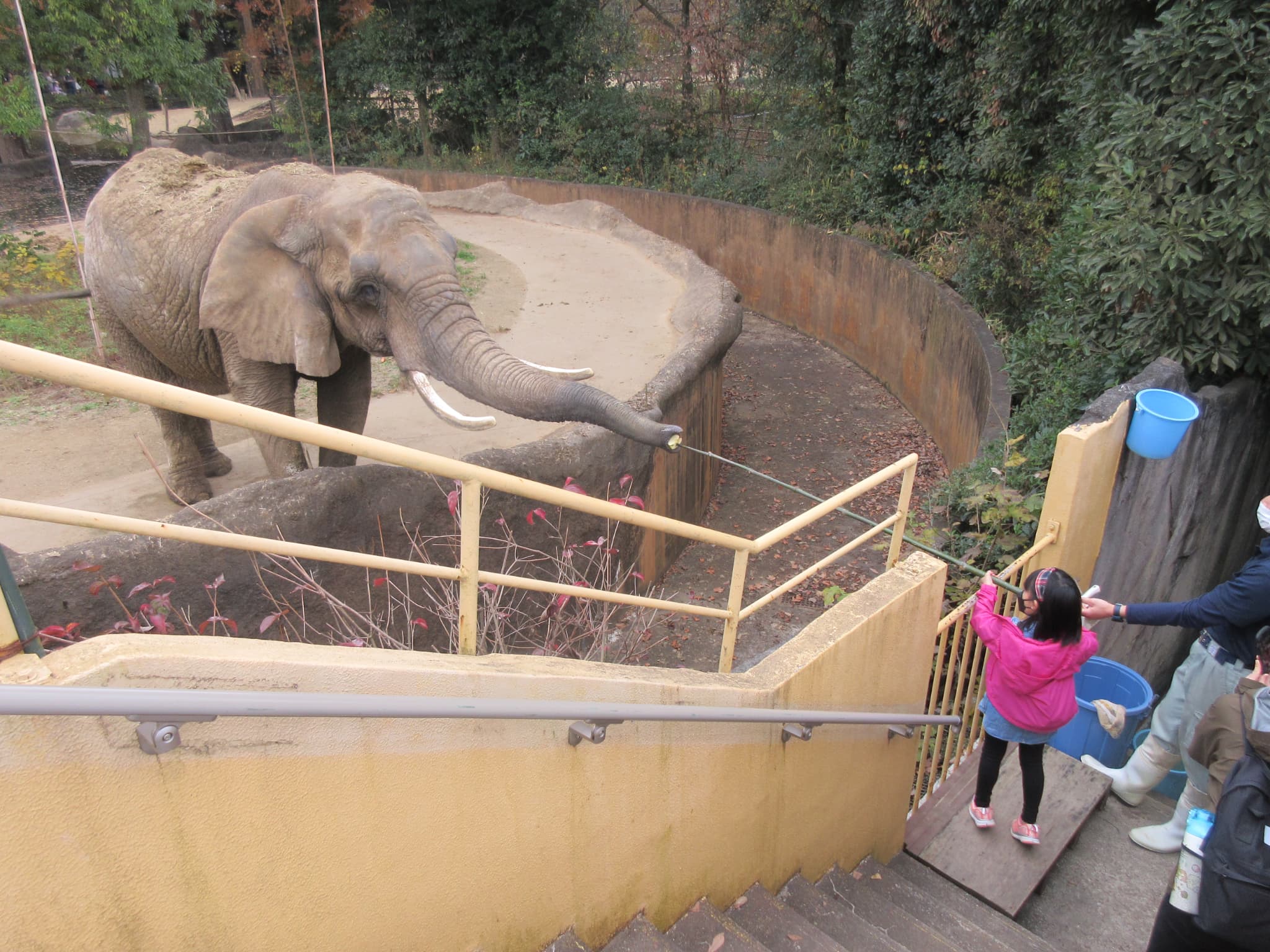 八木山動物公園フジサキの杜
