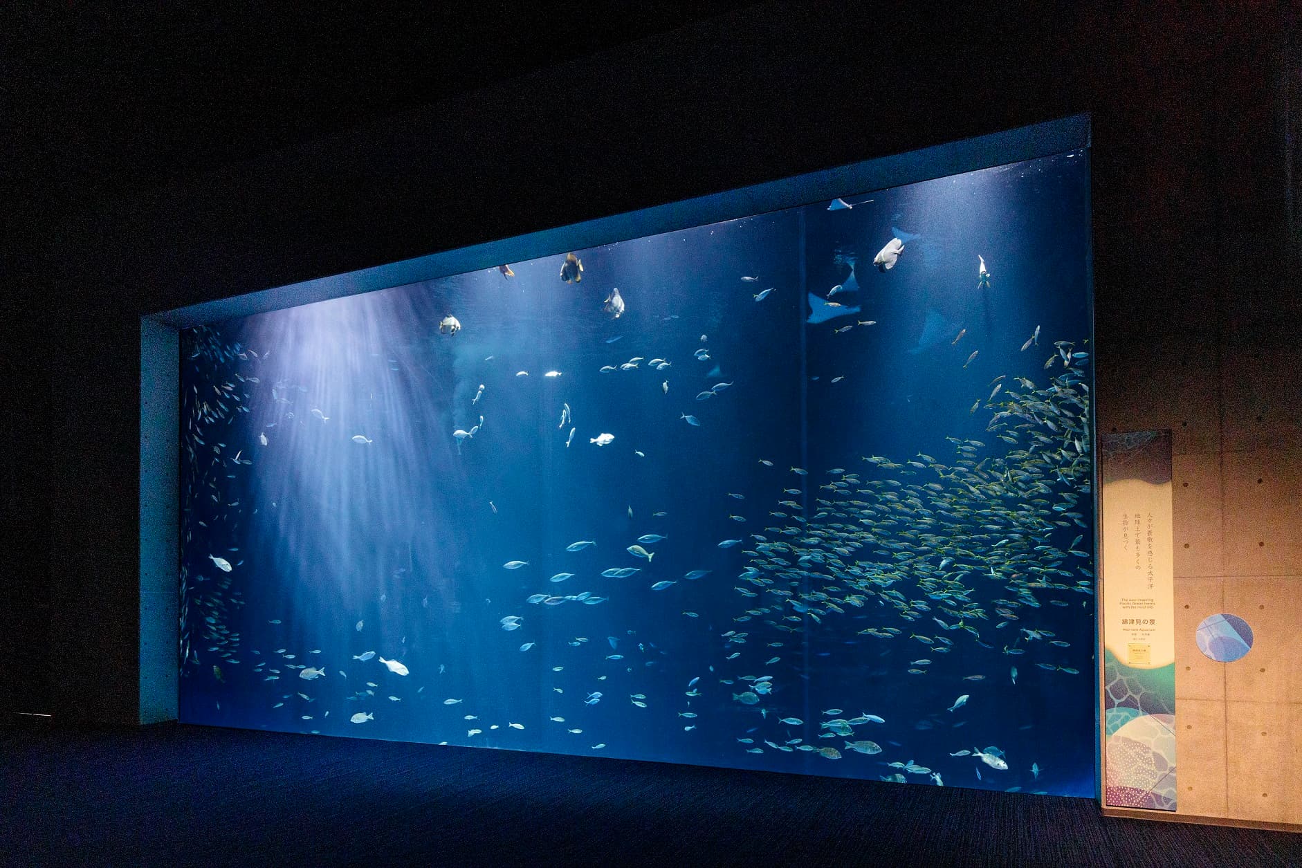 四国水族館