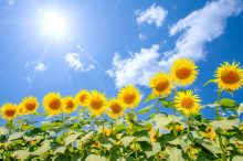 8・9・10月のおすすめ旅行先は？混雑予報付き「夏・秋の狙い目週」カレンダー