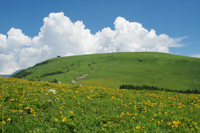 霧ヶ峰
