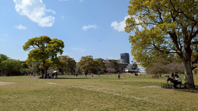 舞鶴公園