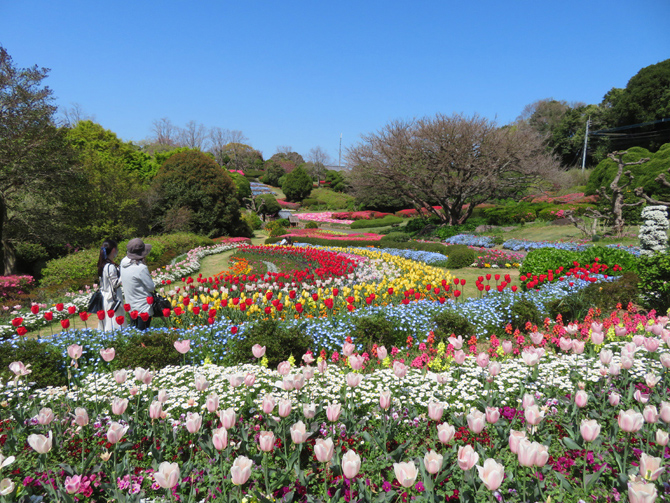 のこのしまアイランドパーク
