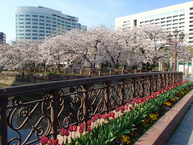 天神中央公園