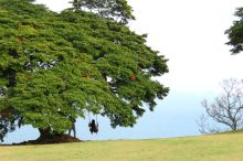 福岡県の公園おすすめ16選！大型遊具や動物ふれあい、絶景ピクニックなどが楽しめる