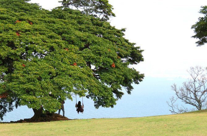 福岡県の公園おすすめ16選！大型遊具や動物ふれあい、絶景ピクニックなどが楽しめる