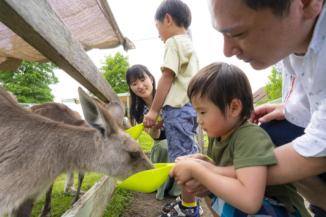 滋賀農業公園ブルーメの丘