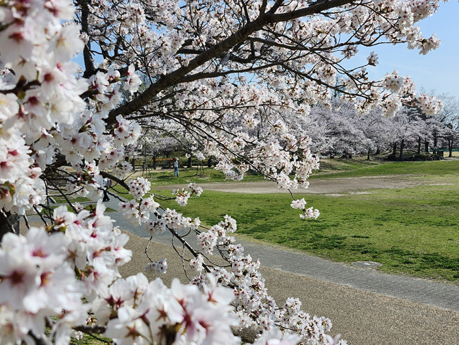 けいはんな記念公園