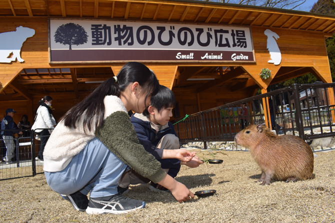 神崎農村公園ヨーデルの森