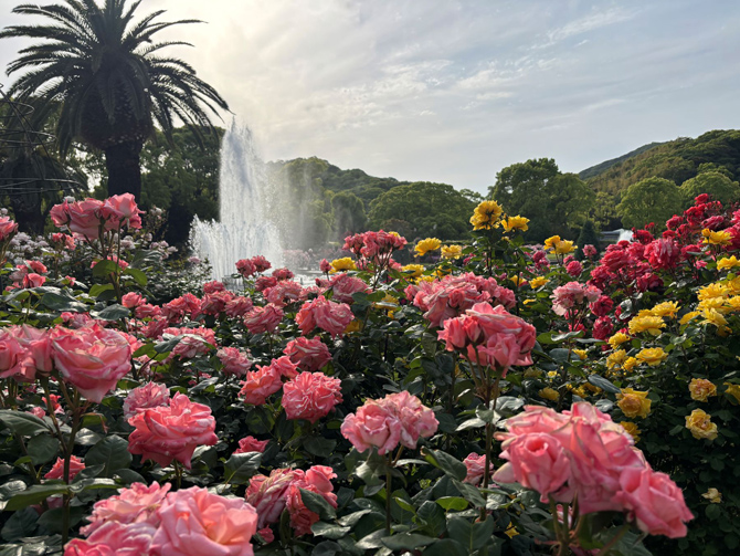 須磨離宮公園