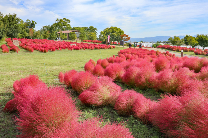 県営馬見丘陵公園