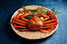 【兵庫・香住】カニ旅におすすめのスポット4選！宿や食事処、直売を紹介＜2026＞