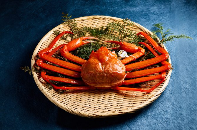 【兵庫・香住】カニ旅におすすめのスポット4選!宿や食事処、直売を紹介<2026>