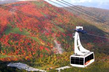 【栃木】空から眺める紅葉がすごい！那須ロープウェイで秋色の絶景散歩へ出かけよう