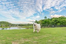 【福島】家族連れでも、愛犬連れでも！秋の旅行は「エンゼルフォレスト白河高原」へ！