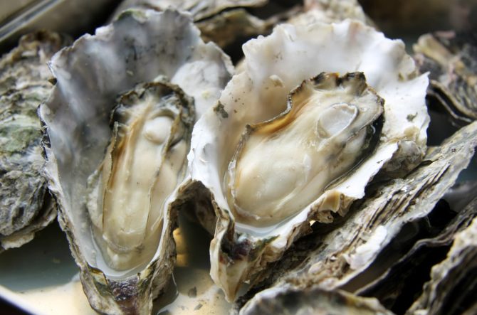 【広島】牡蠣が美味しいおすすめ5店!食べ放題やかき小屋で旬の味覚を楽しもう<2026>