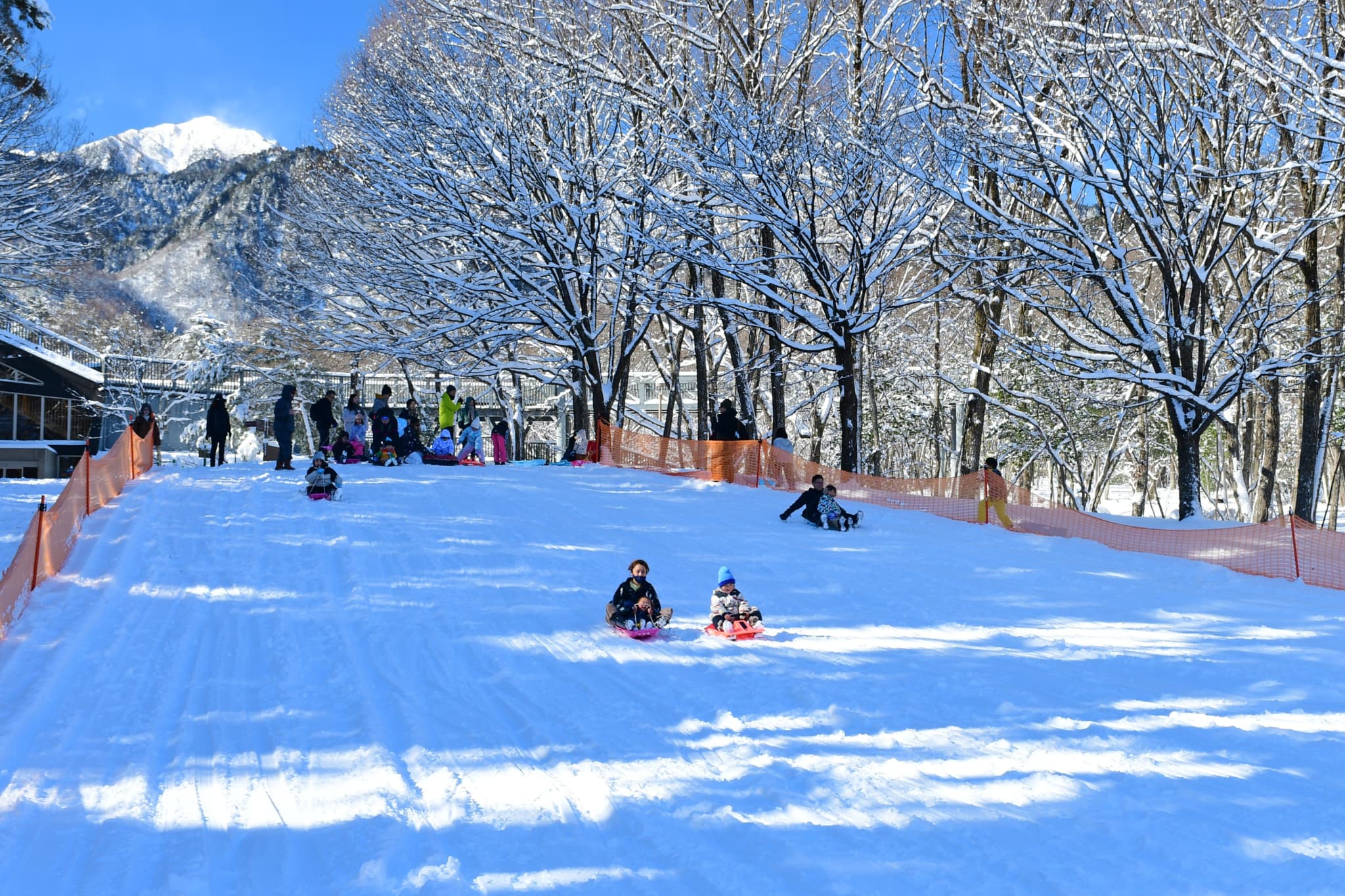 （画像提供：国営アルプスあづみの公園 大町・松川地区）