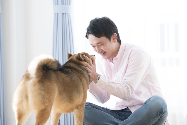 犬と男性