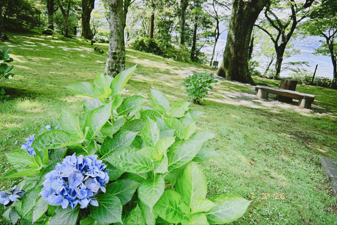 小田急 山のホテル