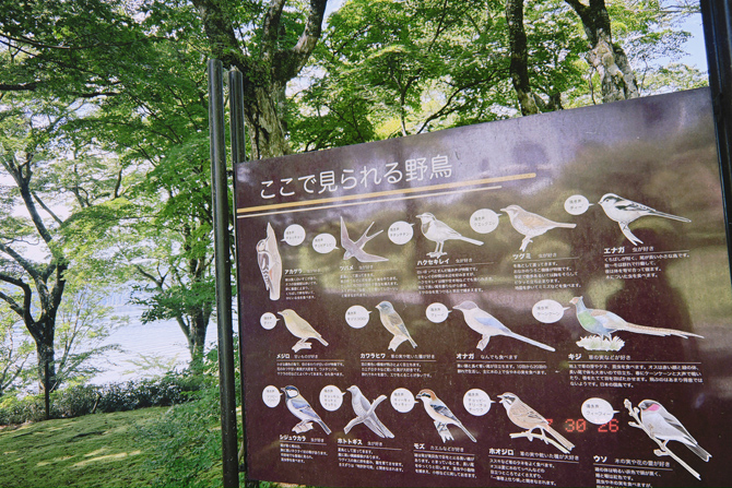 小田急 山のホテル