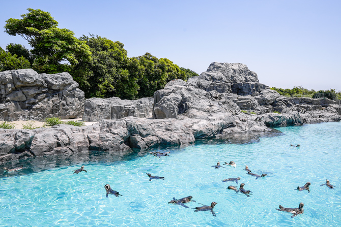 葛西臨海水族園