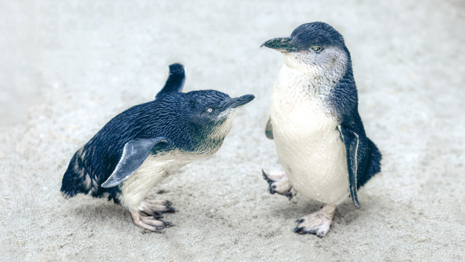 葛西臨海水族園
