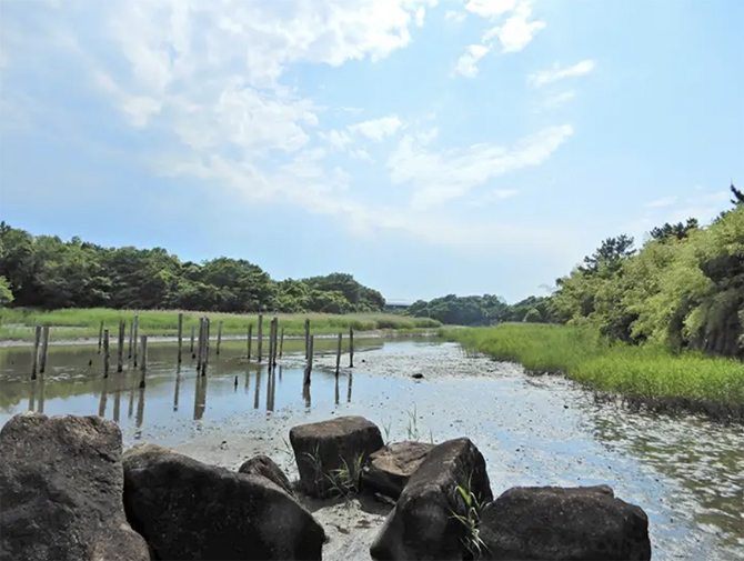 鳥類園