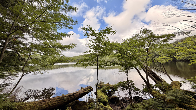 白駒の池・苔の森