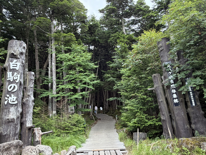 白駒の池