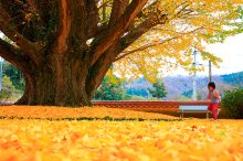 行楽の季節は、秋色に染まる山陰旅へ♪温泉や美食、紅葉を満喫するおすすめ宿