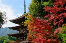【山口】色づく樹々や秋風に癒され、おもてなしに感動！秋の紅葉×王道スポット3選