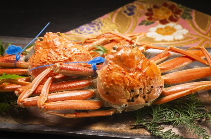 【関西】海鮮が美味しい宿13選!カニ・クエ・地魚と温泉を心ゆくまで満喫<2026>