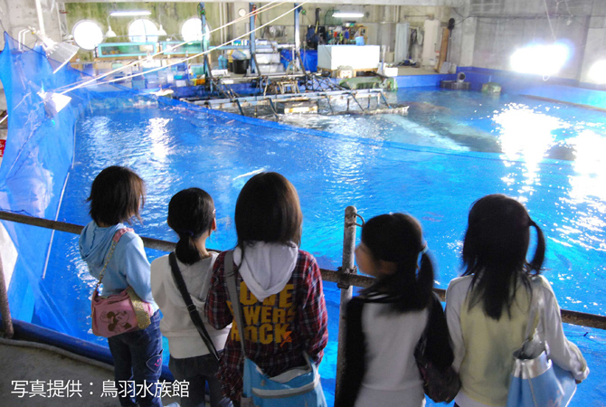 鳥羽水族館
