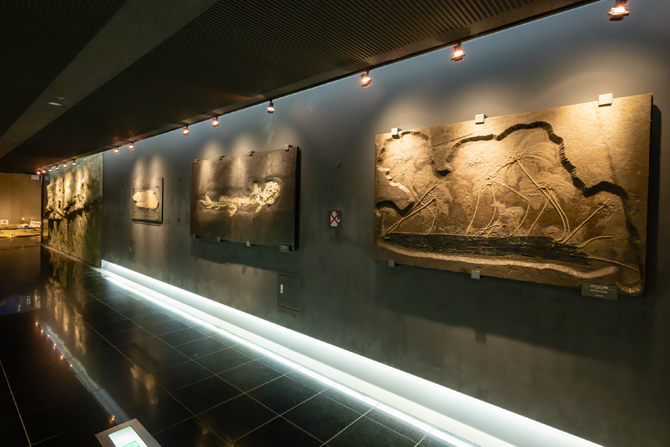福井県立恐竜博物館